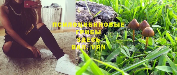 ПСИЛОЦИБИНОВЫЕ ГРИБЫ Ладушкин