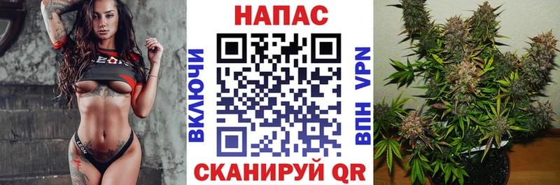мориарти как зайти  Суворов  МЕГА онион  Конопля конопля  как найти  